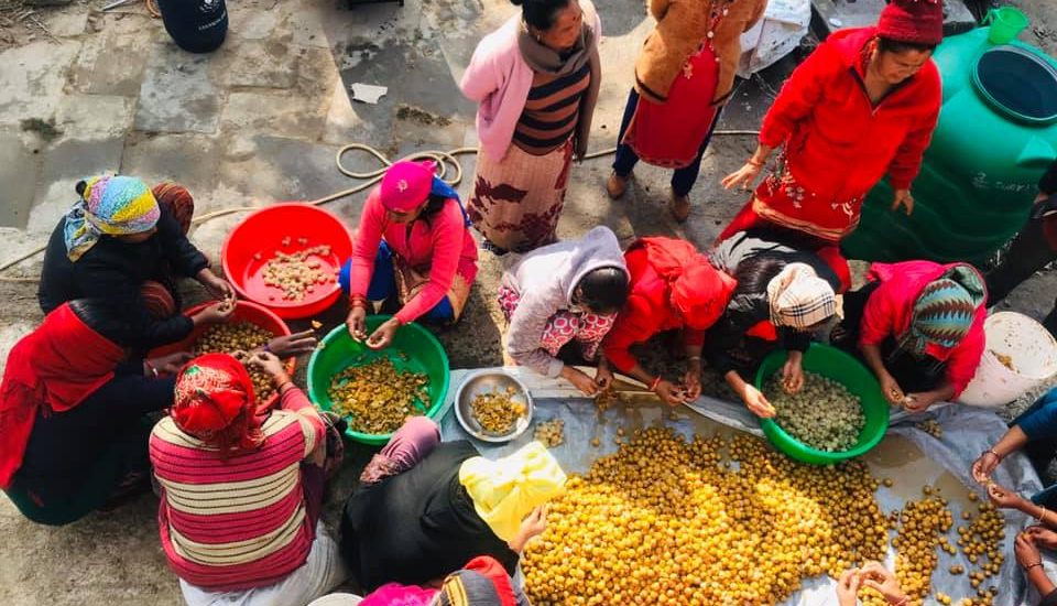 Rural Entrepreneurship Project